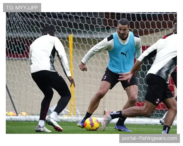 深度报道：数据分析公司报告揭示，意甲中游球队更倾向购买北欧联赛后卫